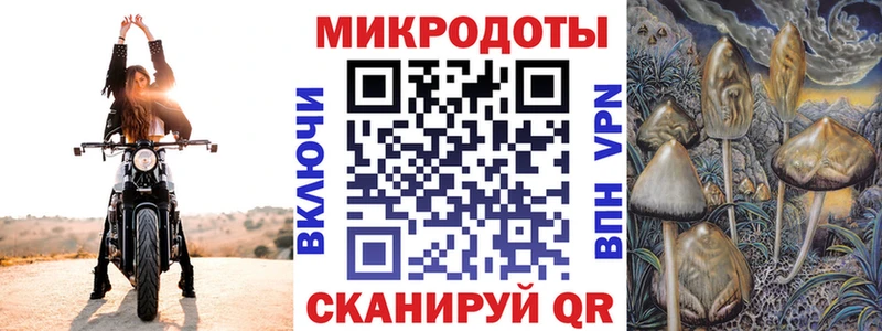 где найти   omg зеркало  Псилоцибиновые грибы мухоморы  Петушки 