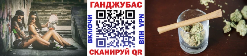 площадка формула Петушки Бошки Шишки White Widow